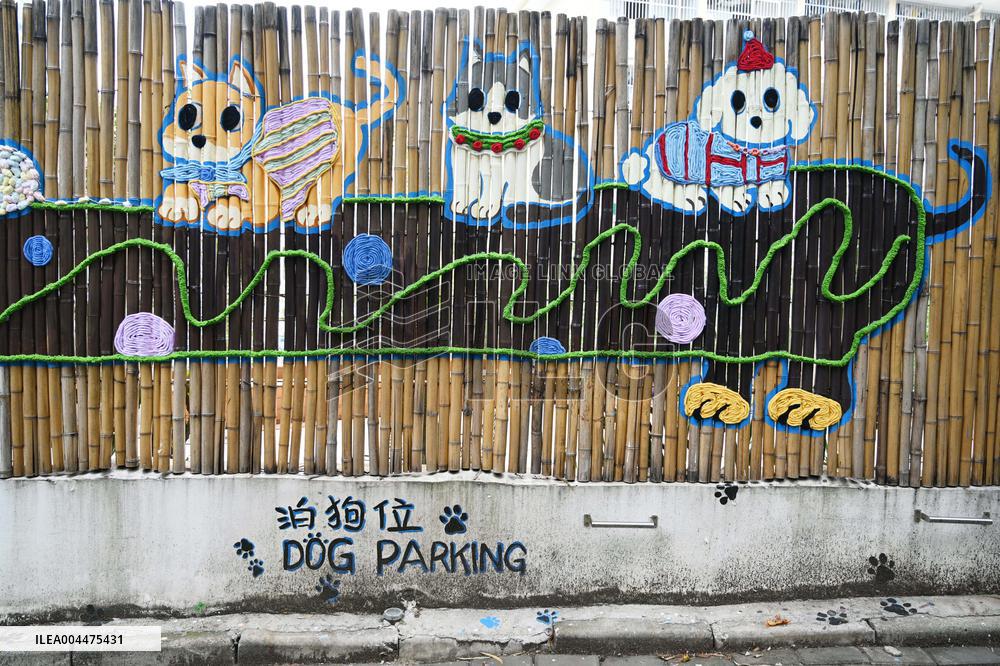 Dog Parking Spaces in Nanning