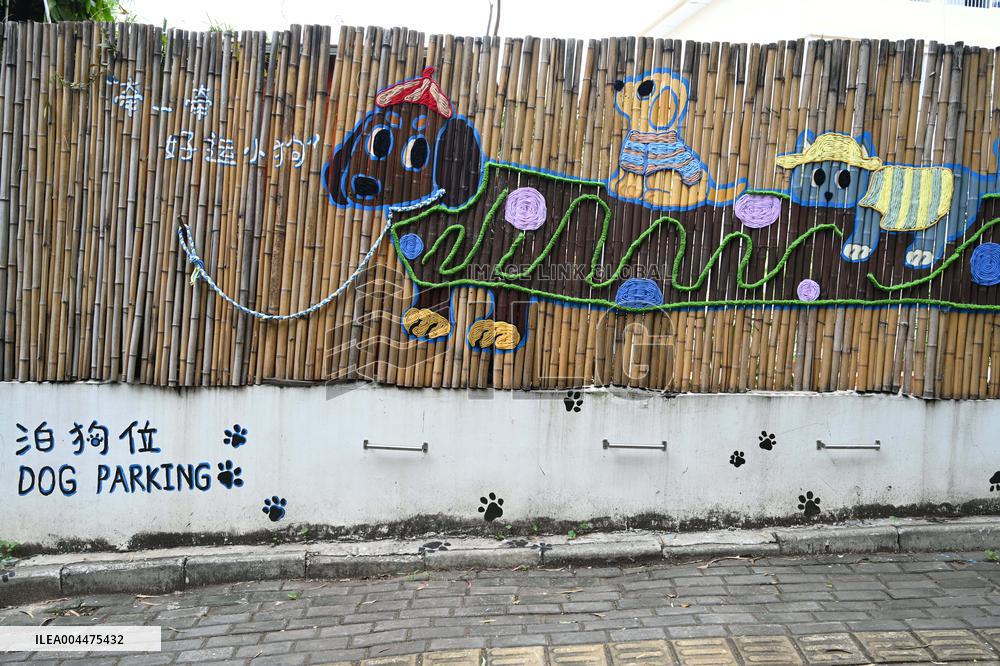 Dog Parking Spaces in Nanning