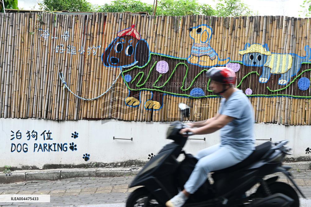 Dog Parking Spaces in Nanning