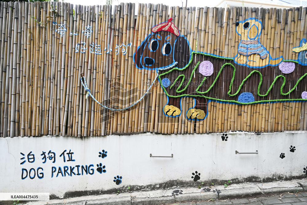 Dog Parking Spaces in Nanning