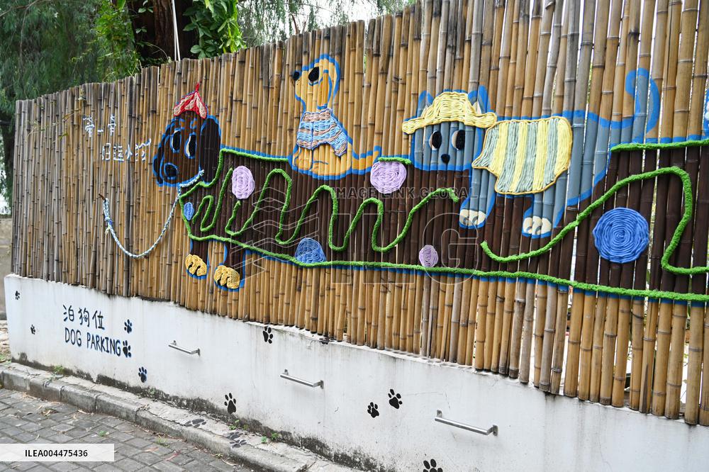 Dog Parking Spaces in Nanning