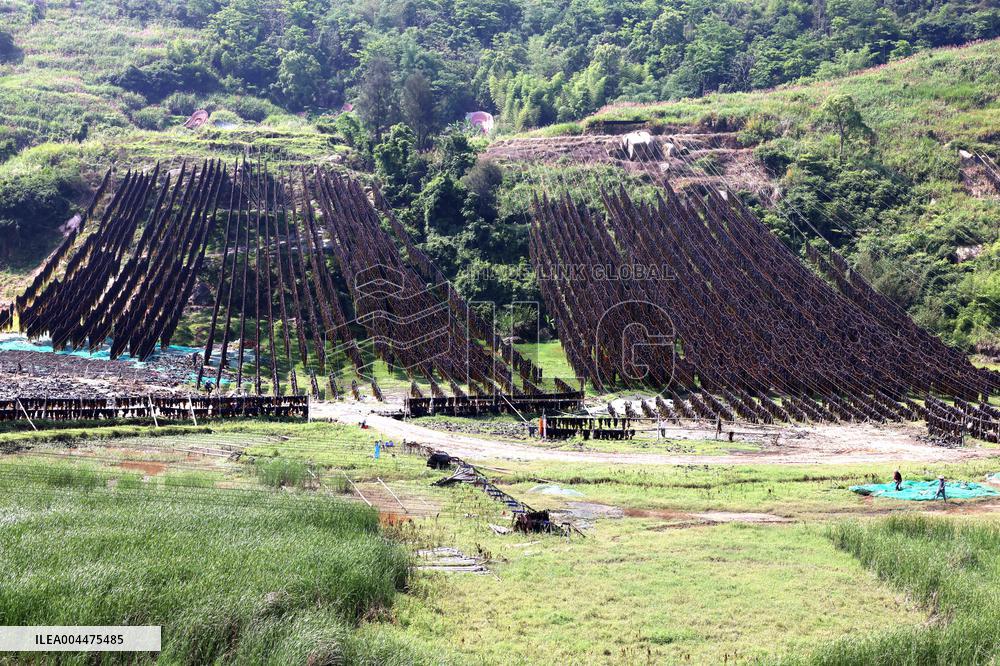 The hometown of Kelp in China