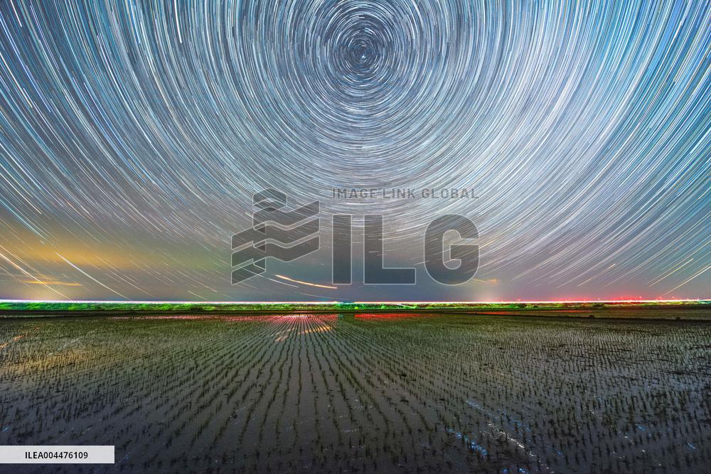 Starry Sky Over Rice Field - China