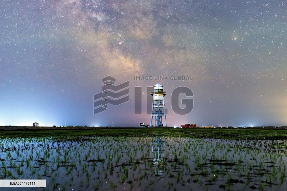 Starry Sky Over Rice Field - China