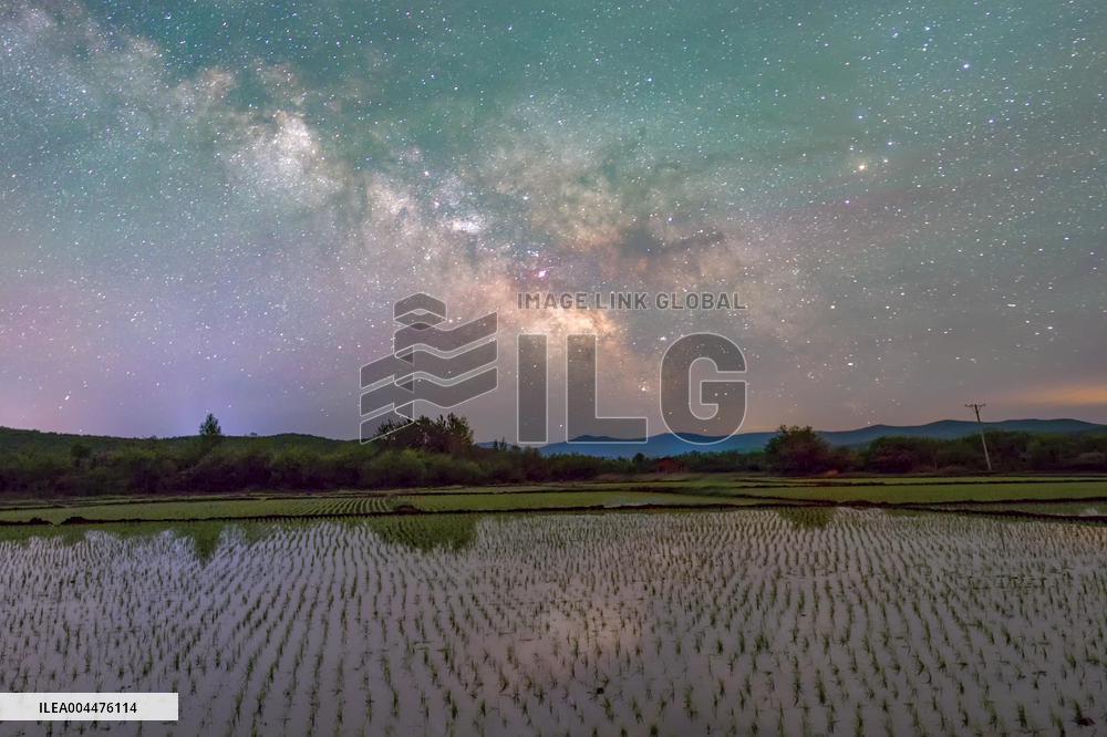 Starry Sky Over Rice Field - China