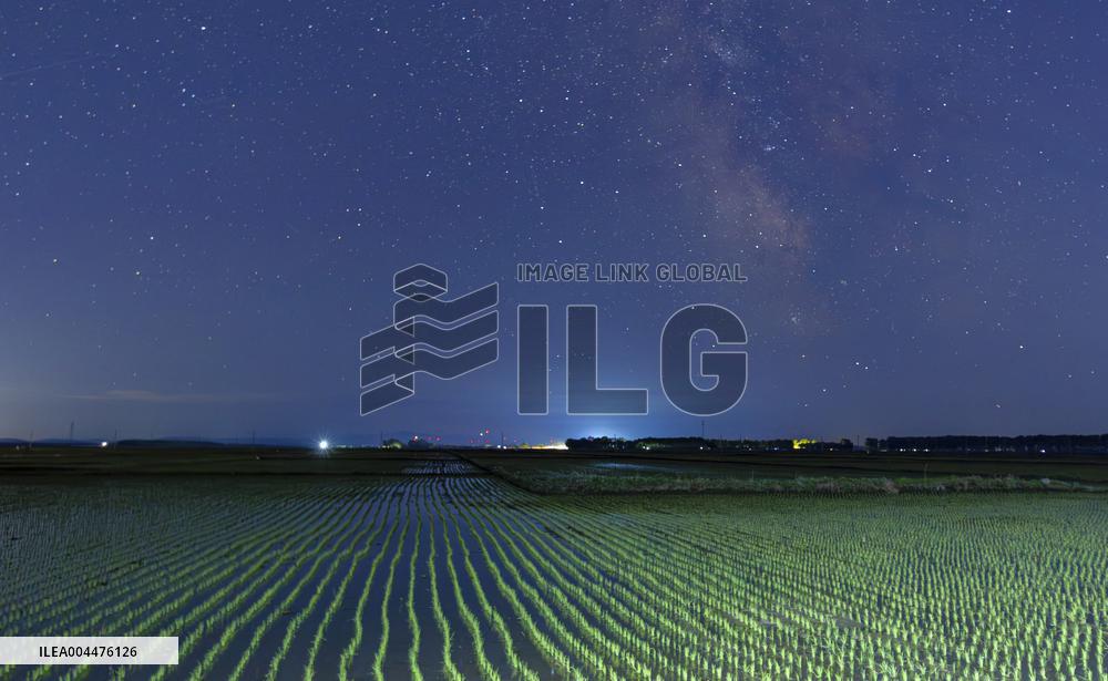 Starry Sky Over Rice Field - China