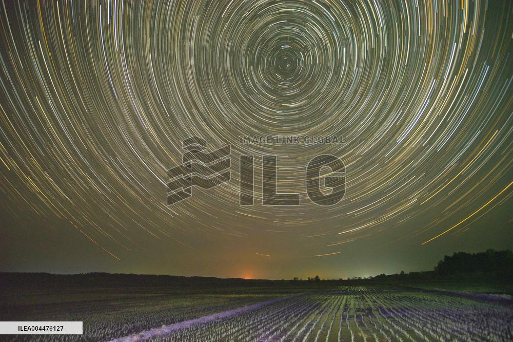 Starry Sky Over Rice Field - China