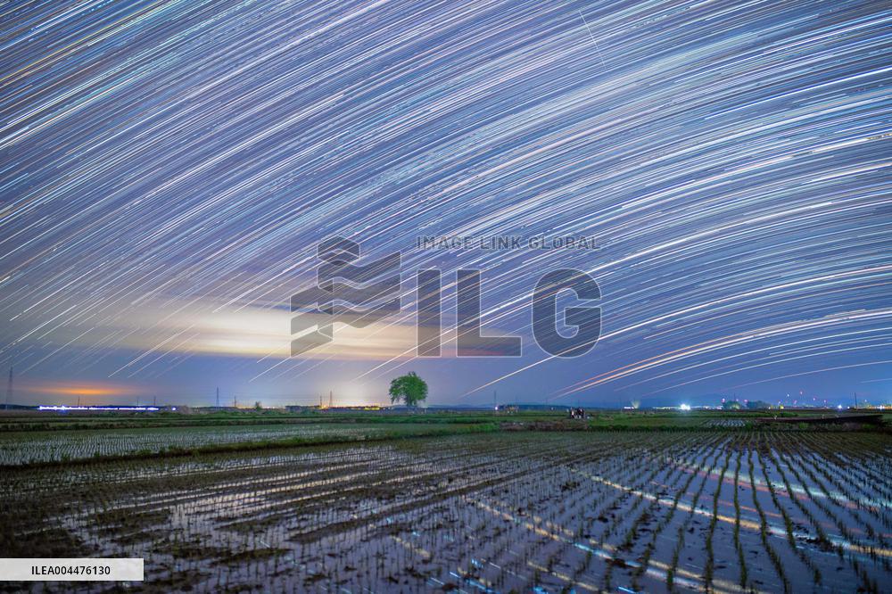 Starry Sky Over Rice Field - China