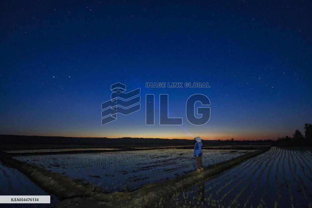Starry Sky Over Rice Field - China