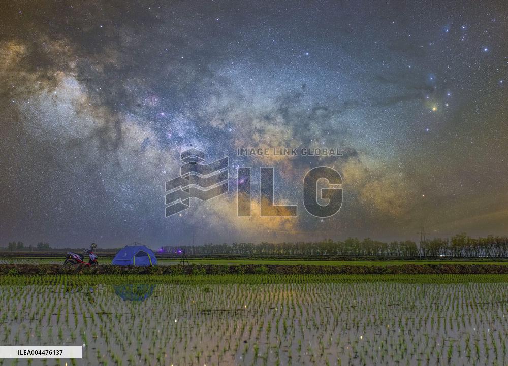 Starry Sky Over Rice Field - China