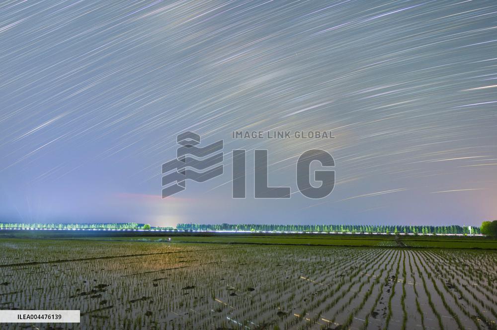 Starry Sky Over Rice Field - China