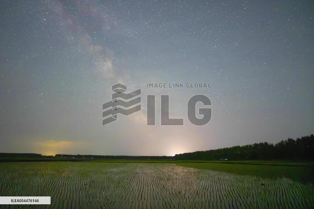 Starry Sky Over Rice Field - China