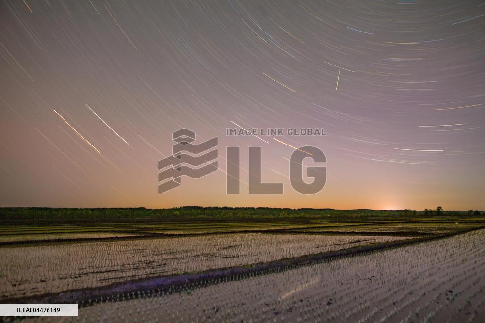 Starry Sky Over Rice Field - China