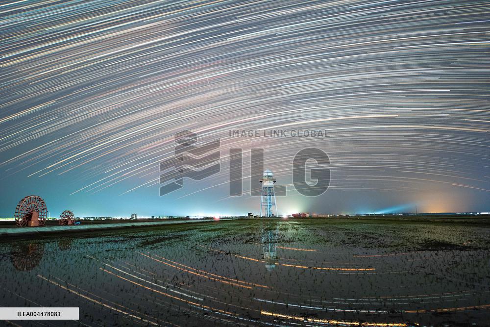 Paddy Rice Field Under The Starry Sky - China