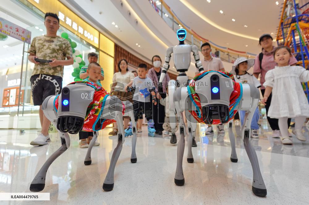 China Robot Industry