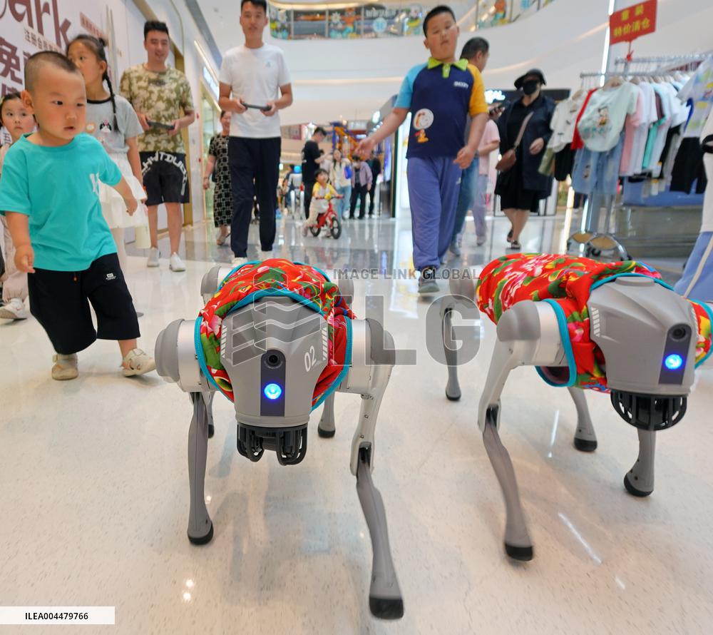 China Robot Industry