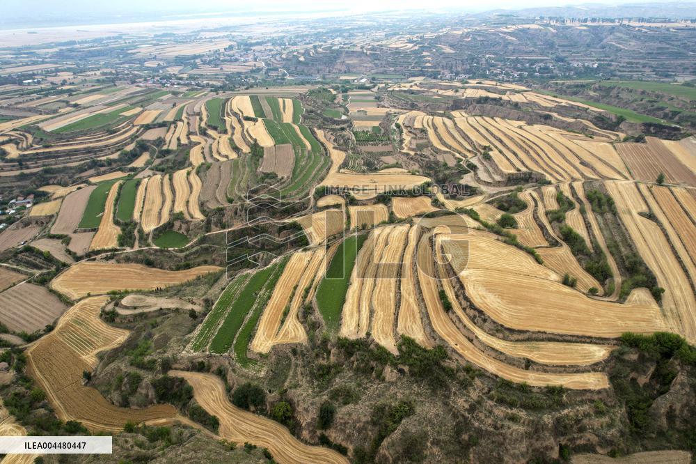 Loess Plateau Terraced Fields in Yuncheng