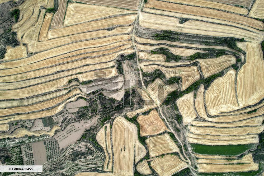 Loess Plateau Terraced Fields in Yuncheng