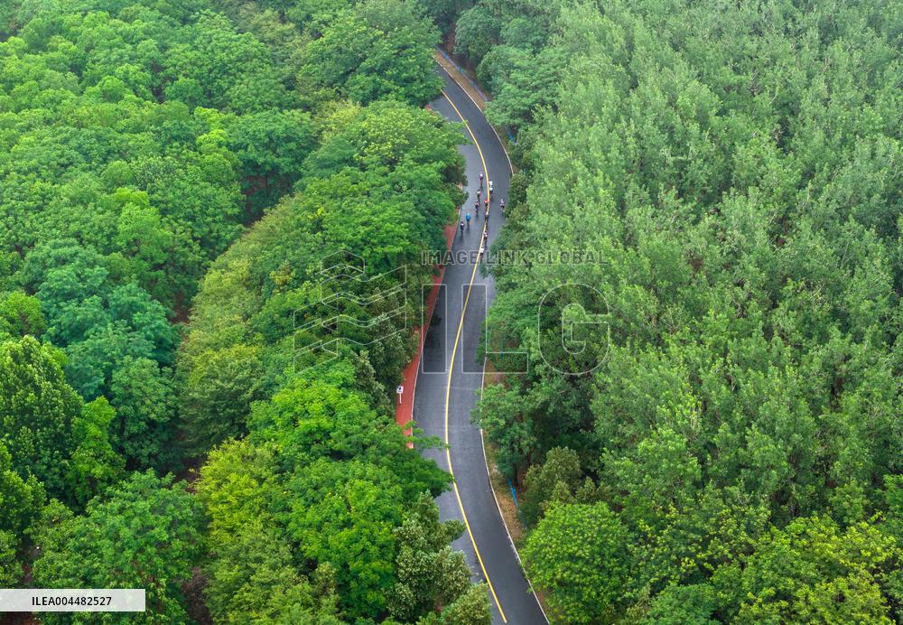 2025 Yangtze River Delta Cycling Cross-Country Race
