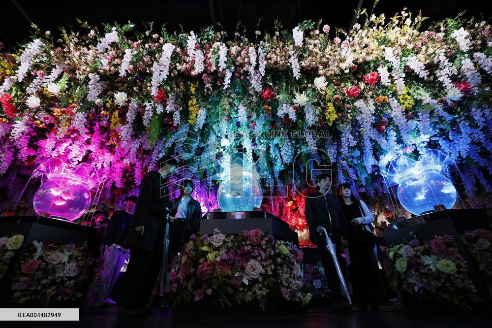 Art aquarium in Tokyo