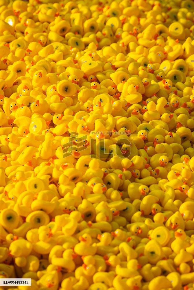 Charity duck rally