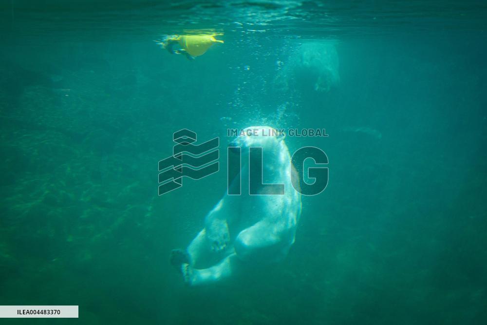 International Day for Protection of Children