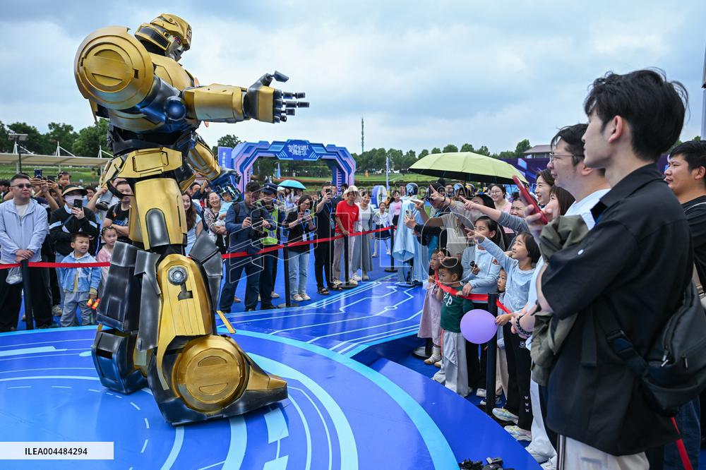 World Robot Carnival in Wuhan - China