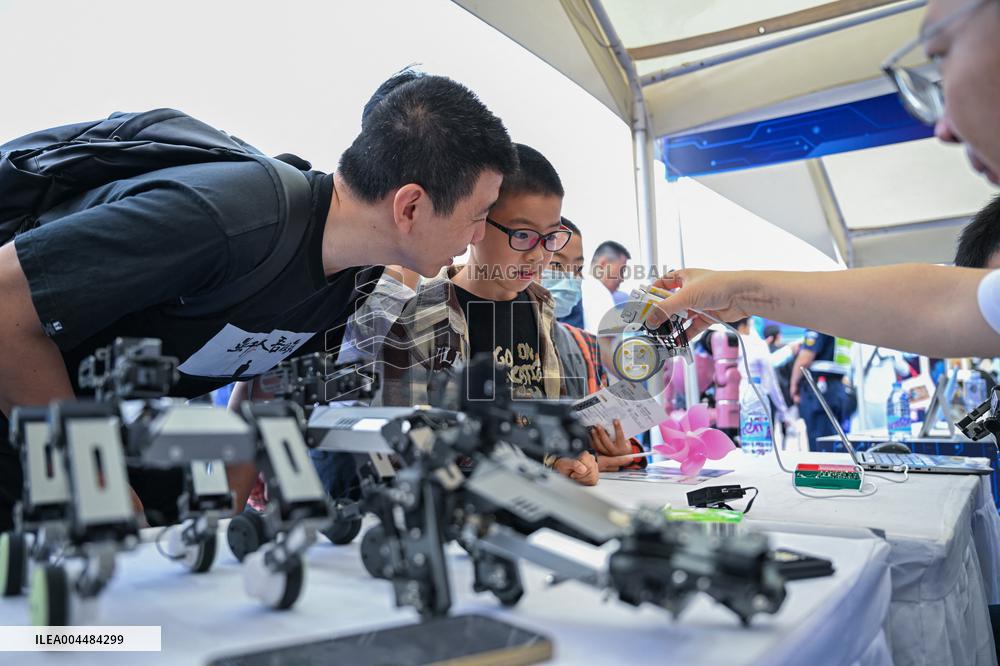 World Robot Carnival in Wuhan - China