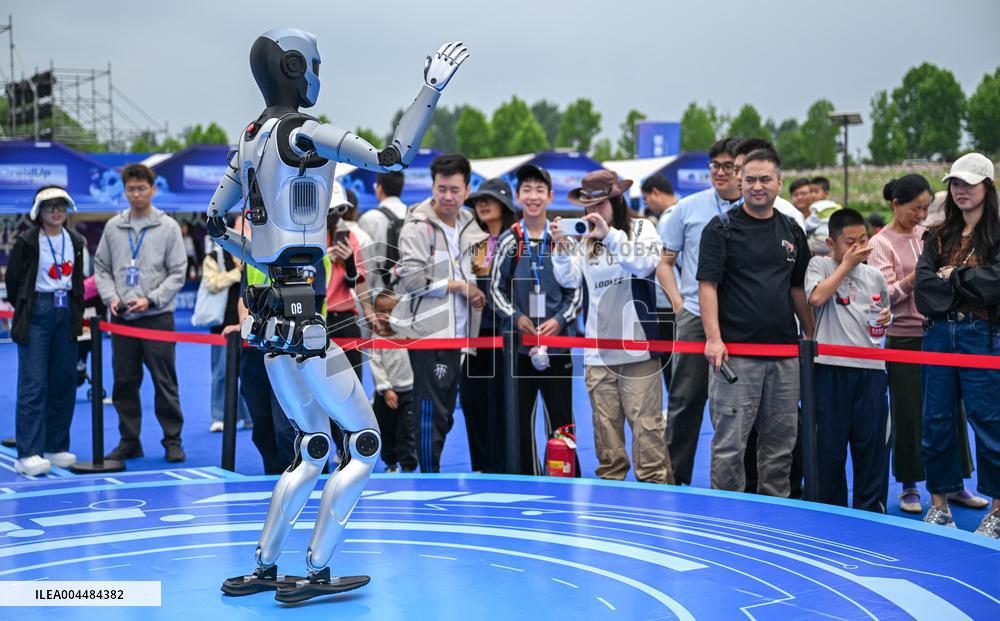 World Robot Carnival in Wuhan - China