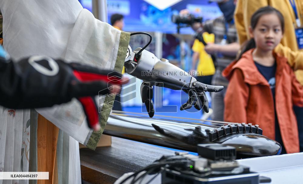 World Robot Carnival in Wuhan - China