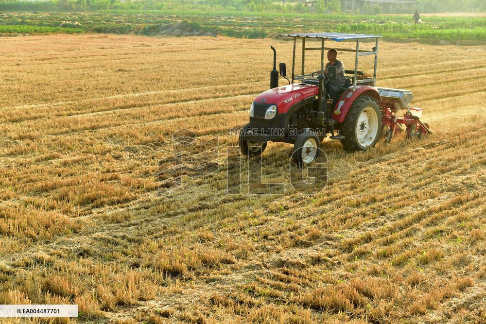 Agricultural High Yield