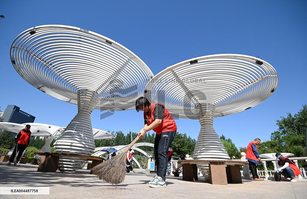 World Environment Day