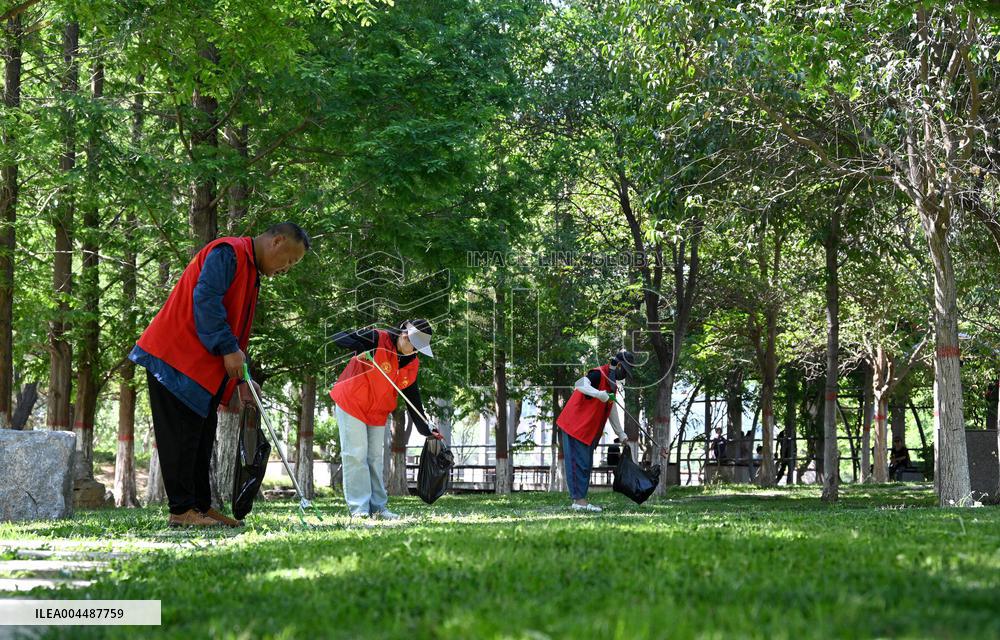 World Environment Day