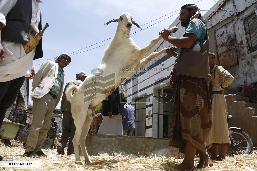 Preparing For Eid al-Adha - Sanaa