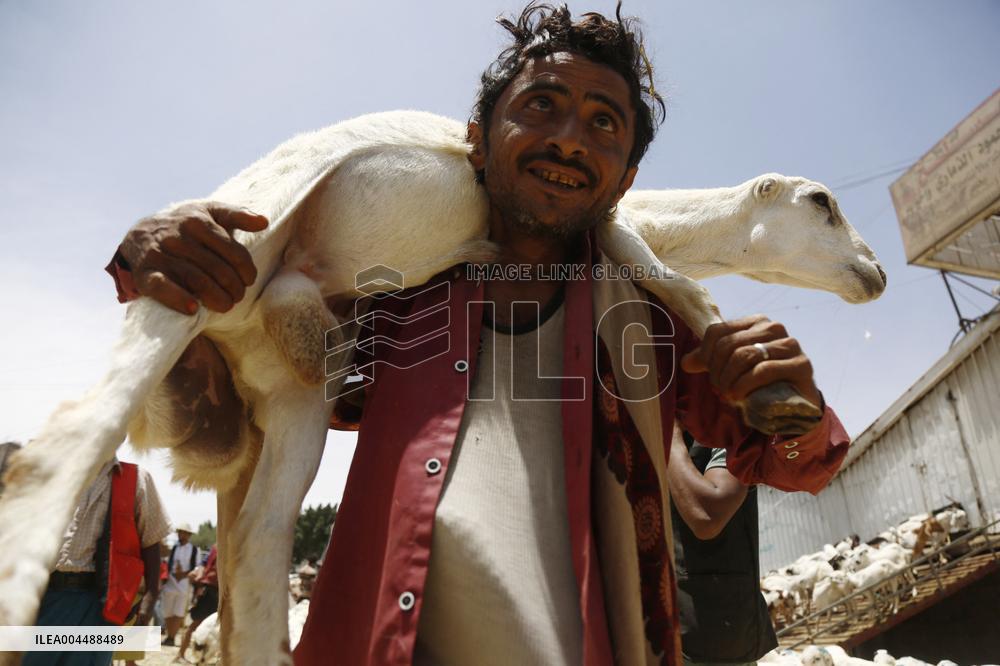 Preparing For Eid al-Adha - Sanaa