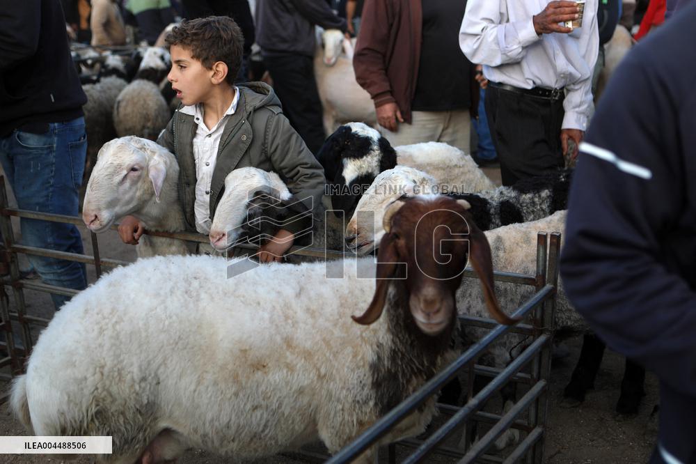 Preparing For Eid al-Adha - Hebron