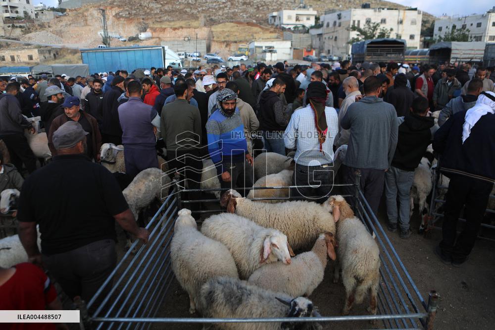 Preparing For Eid al-Adha - Hebron