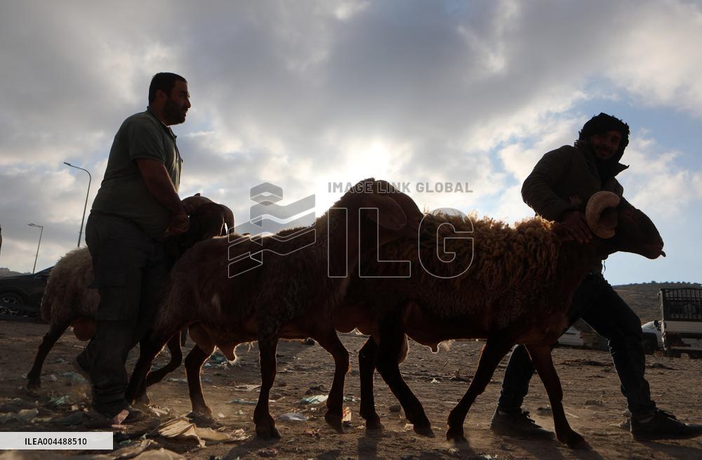 Preparing For Eid al-Adha - Hebron