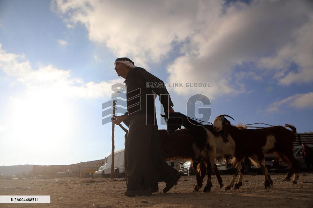 Preparing For Eid al-Adha - Hebron
