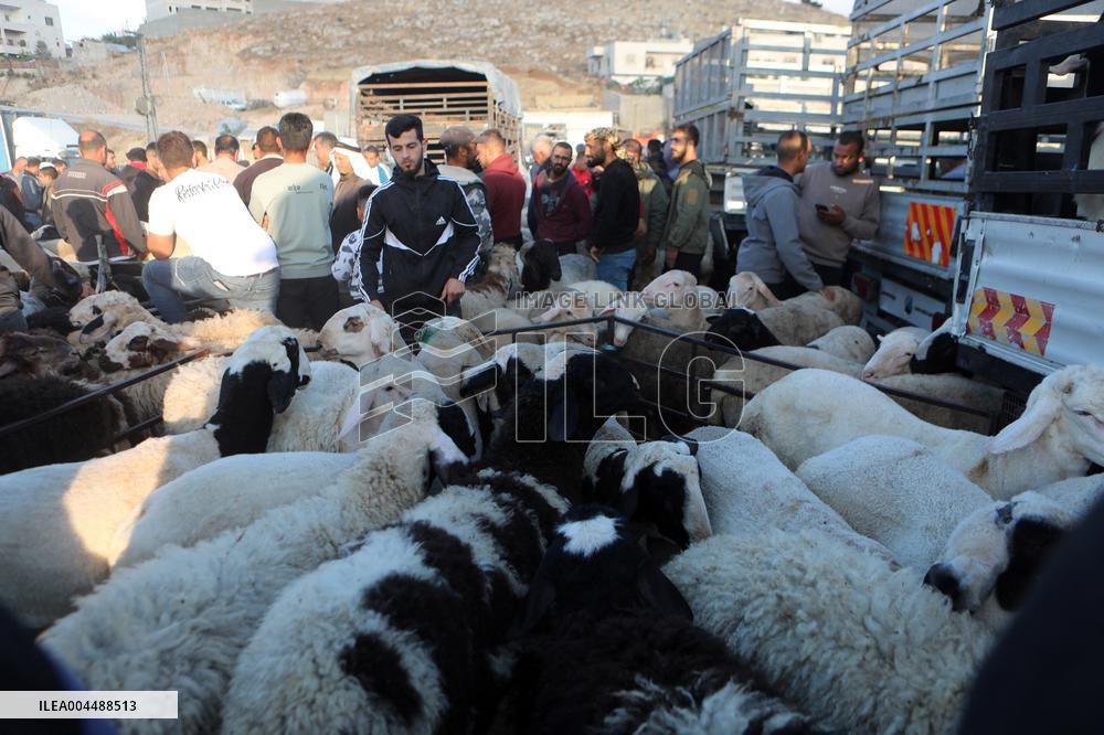 Preparing For Eid al-Adha - Hebron