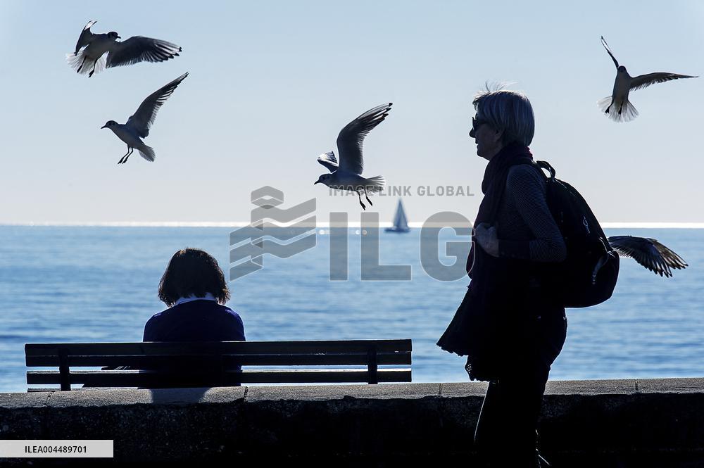 Illustration - Cannes Croisette