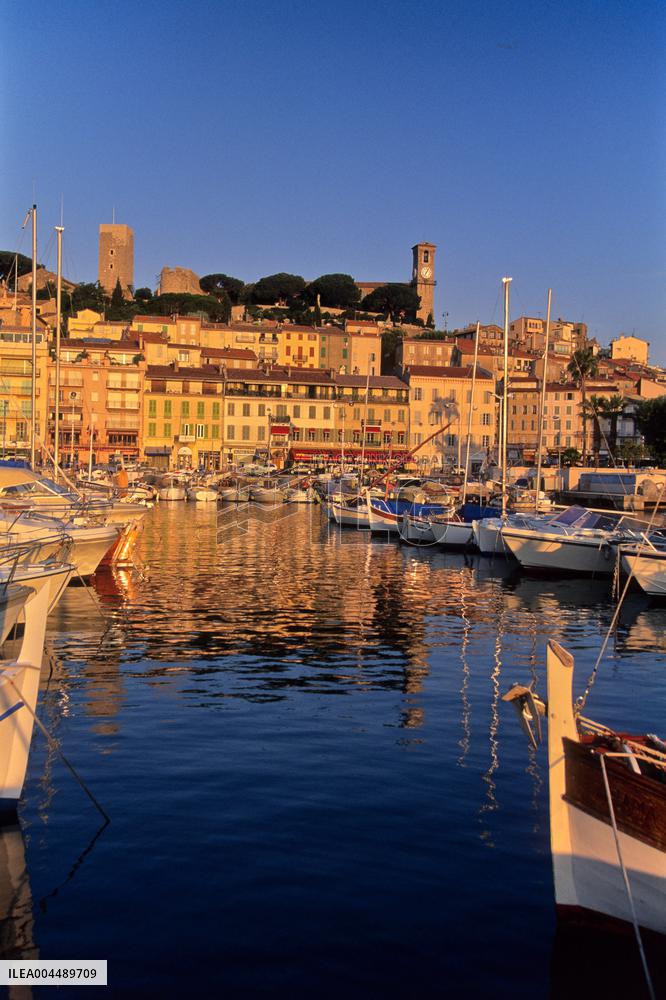 Illustration - Cannes Croisette