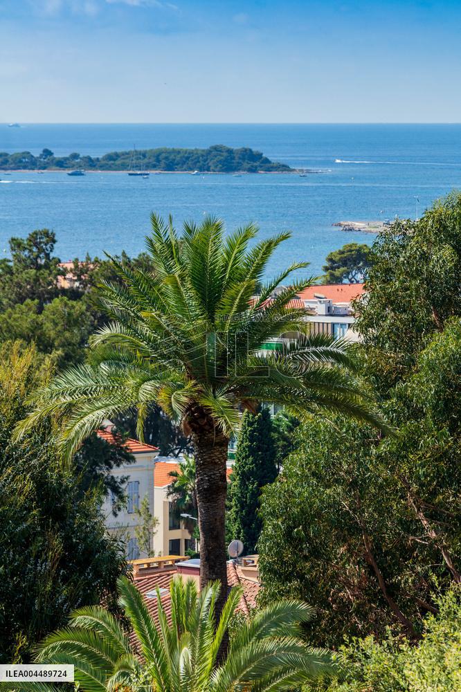 Illustration - Cannes Croisette