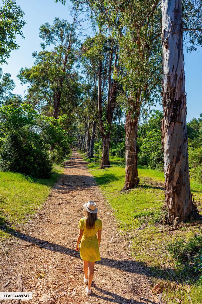 Illustration - Cannes Croisette