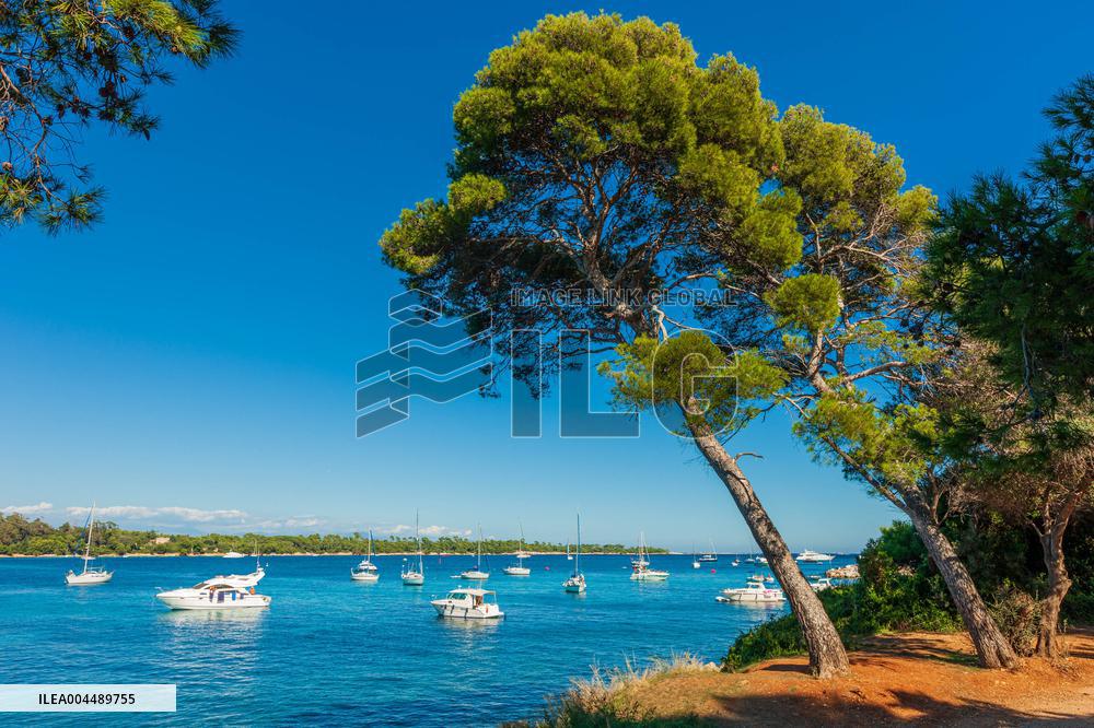 Illustration - Cannes Croisette