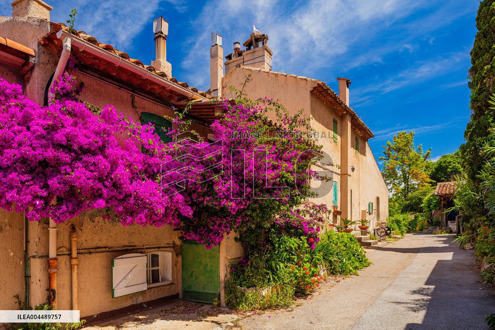 Illustration - Cannes Croisette