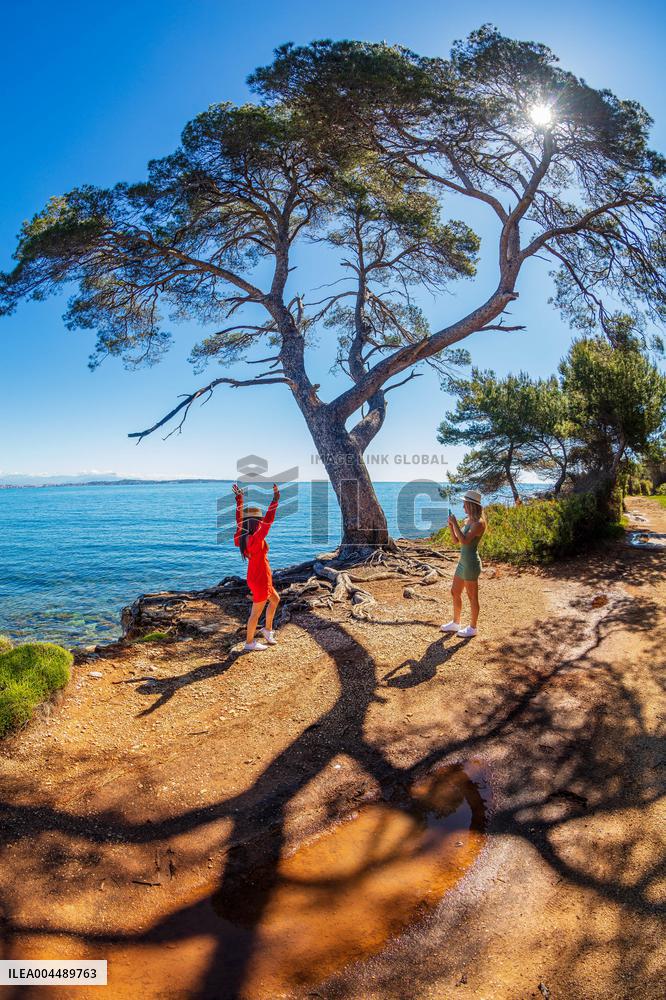 Illustration - Cannes Croisette