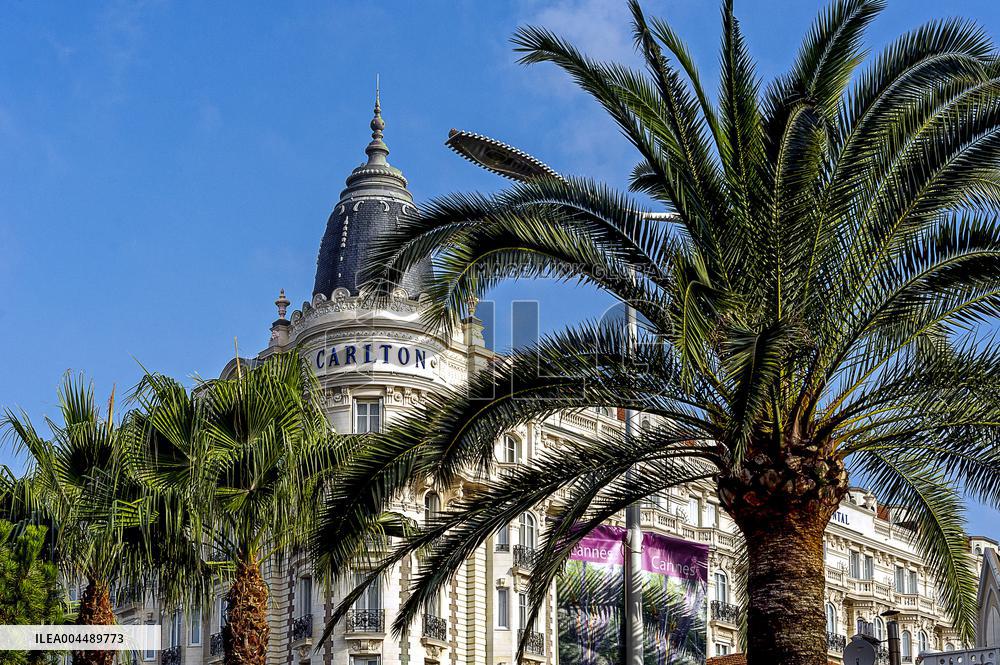 Illustration - Cannes Croisette