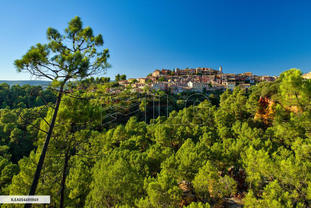 Illustration - Provence