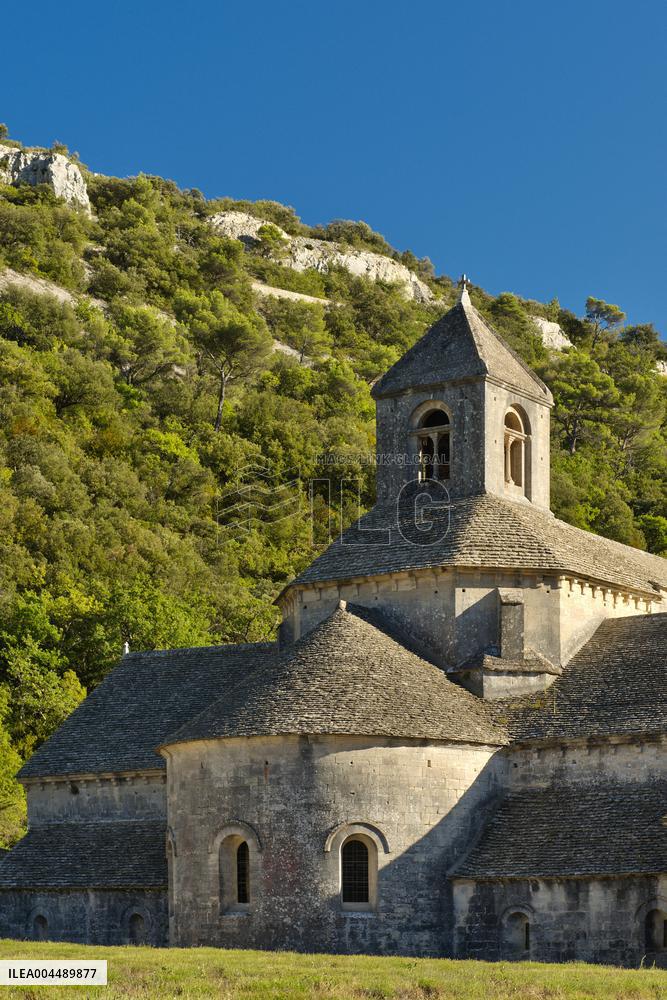 Illustration - Provence